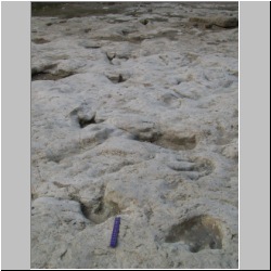 100_0424 (2009-26-07)cr.jpg